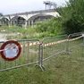 I sigilli a Cesana Beach
