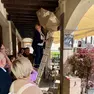 A Belluno progetto di censimento e monitoraggio delle rondini