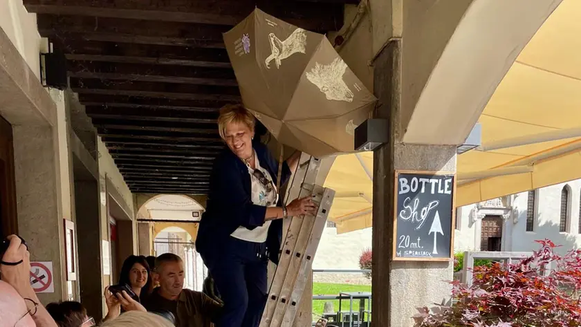 A Belluno progetto di censimento e monitoraggio delle rondini