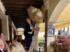A Belluno progetto di censimento e monitoraggio delle rondini