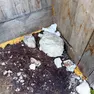 Rifiuti di ogni tipo, strutture vandalizzate, campeggiatori abusivi. Ecco il Sorapis dopo il passaggio di escursionisti poco rispettosi dell'ambiente