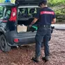 Controllo dei carabinieri su un fungaiolo