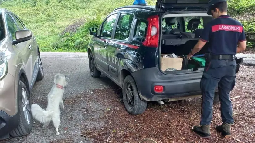 Controllo dei carabinieri su un fungaiolo