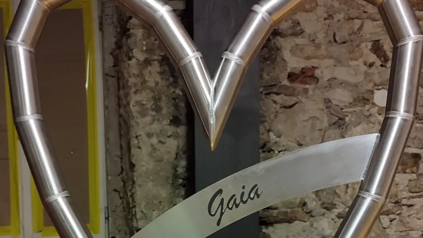 Il cuore regalato alla famiglia di Gaia De Gol