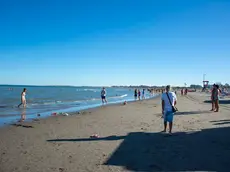 Giovane donna aggredita da un cane libero in spiaggia a Sottomarina