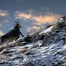 Un camoscio immortalato sulle Dolomiti da Mario De Marco