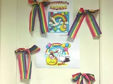 I fiocchi arcobaleno per l'arrivo del figlio dell'assessora al Sociale di Padova