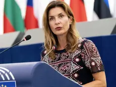 Violenza online: Alessandra Moretti denuncia Phica.eu