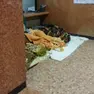 Senza fissa dimora in stazione
