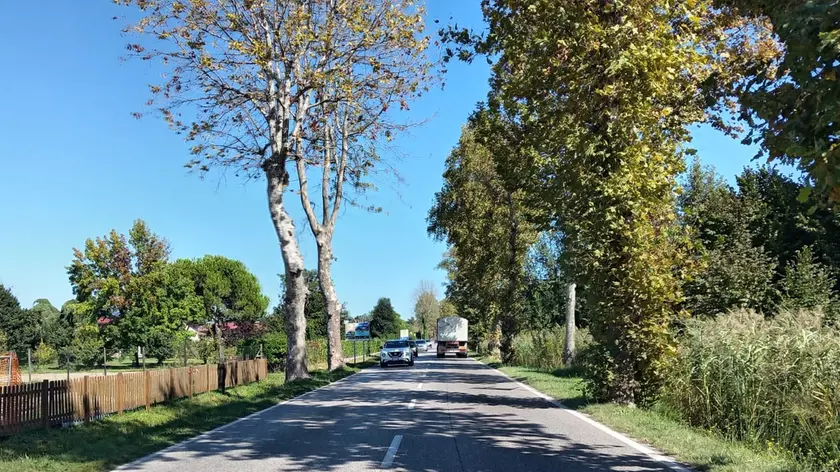 Via Roma destra a Jesolo