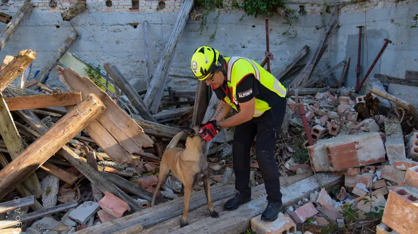 Un momento delle gare di soccorso