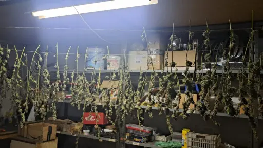 Il laboratorio a Fener dove avveniva il processo di essiccazione della marijuana