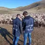 La Guardia di Finanza di Padova ha denunciato 48 imprenditori agricoli per truffa aggravata