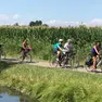 Veneto, in arrivo 40 milioni per la mobilità ciclistica: ecco tutti i progetti