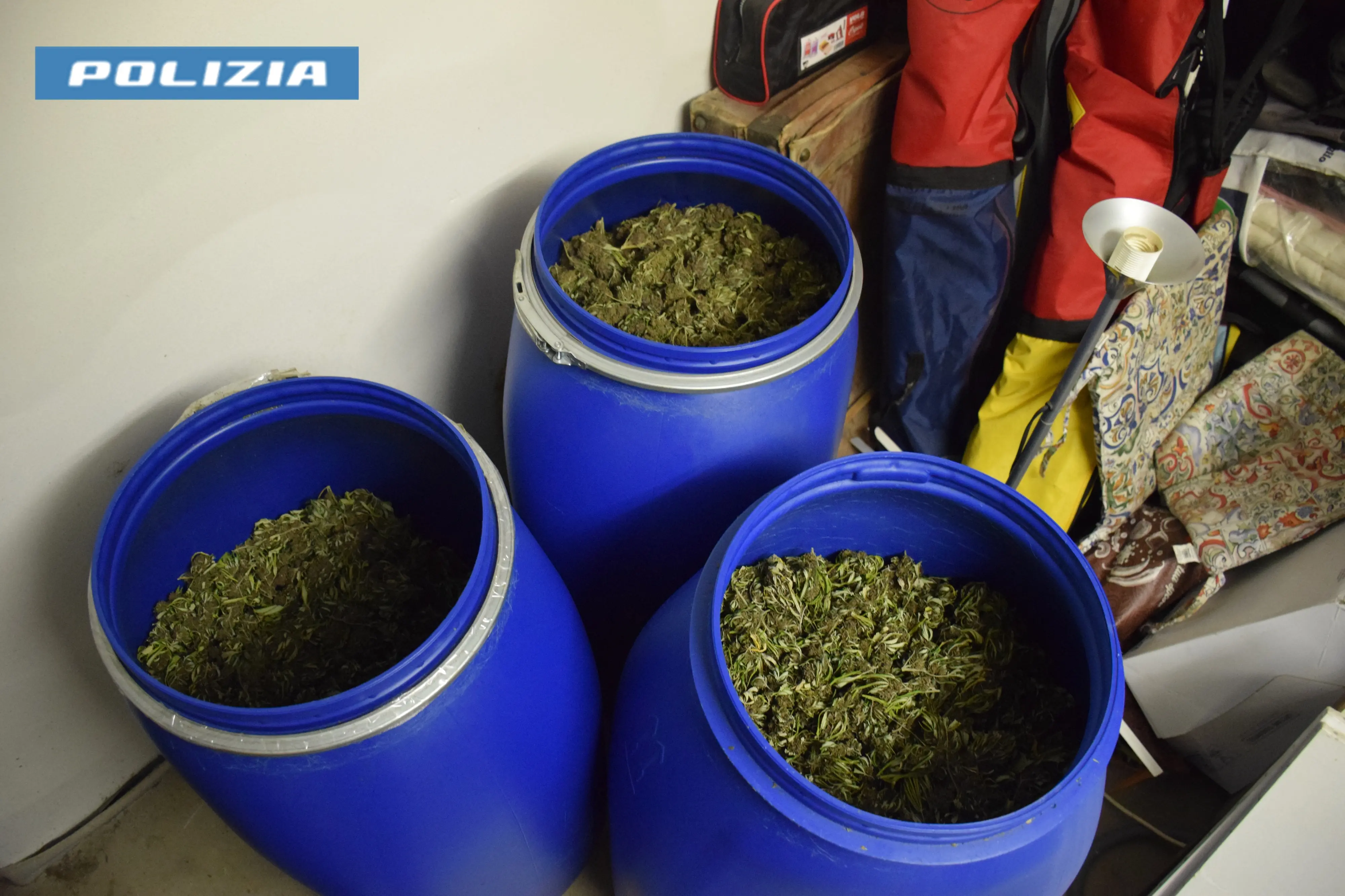 La cannabis sequestrata