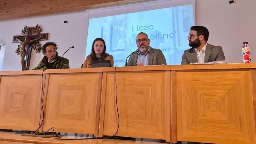 Il Lollino resta a Belluno