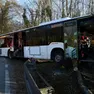 L'autobus che si è schiantato contro un albero sulla 204