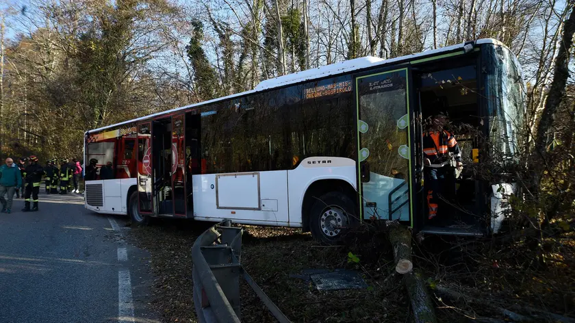 L'autobus che si è schiantato contro un albero sulla 204