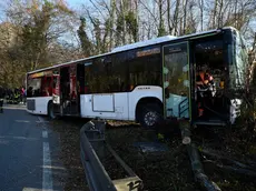 L'autobus che si è schiantato contro un albero sulla 204