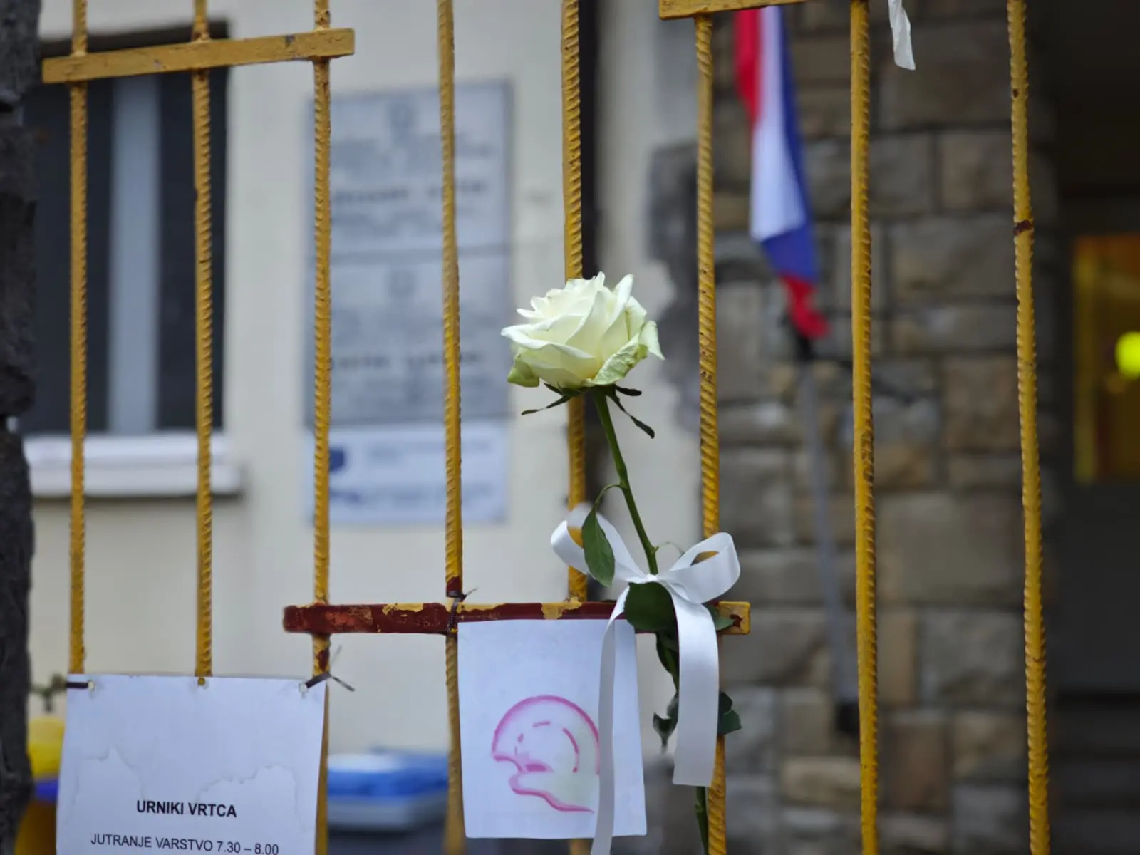 La rosa alla scuola Bubnic di Muggia