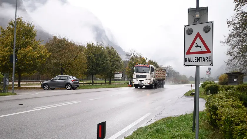 Una segnalazione di attenzione per il passaggio dei cervi