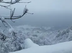 Una nevicata in Valdobbiadene
