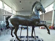 Il cavallo del Canova restaurato