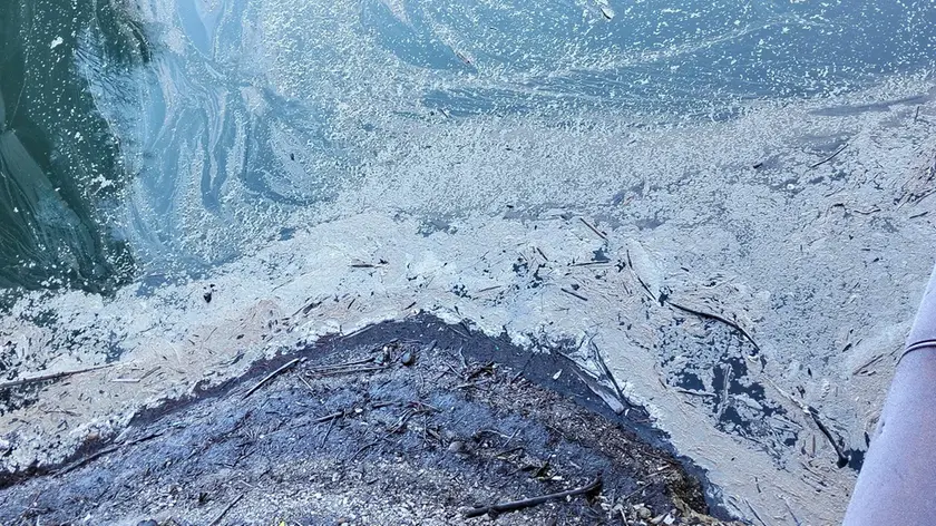 Le acque del lago inquinate