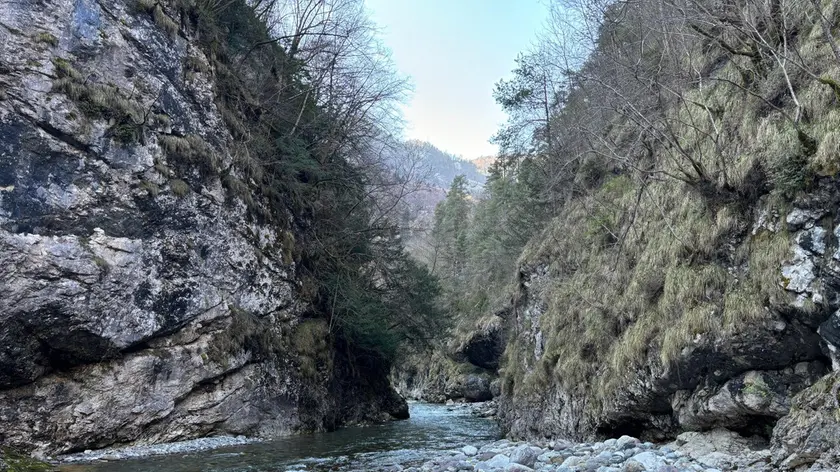 Il torrente Vanoi