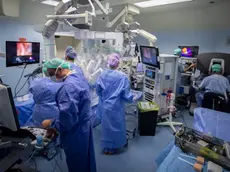 Nomina contestata all’Università di Verona