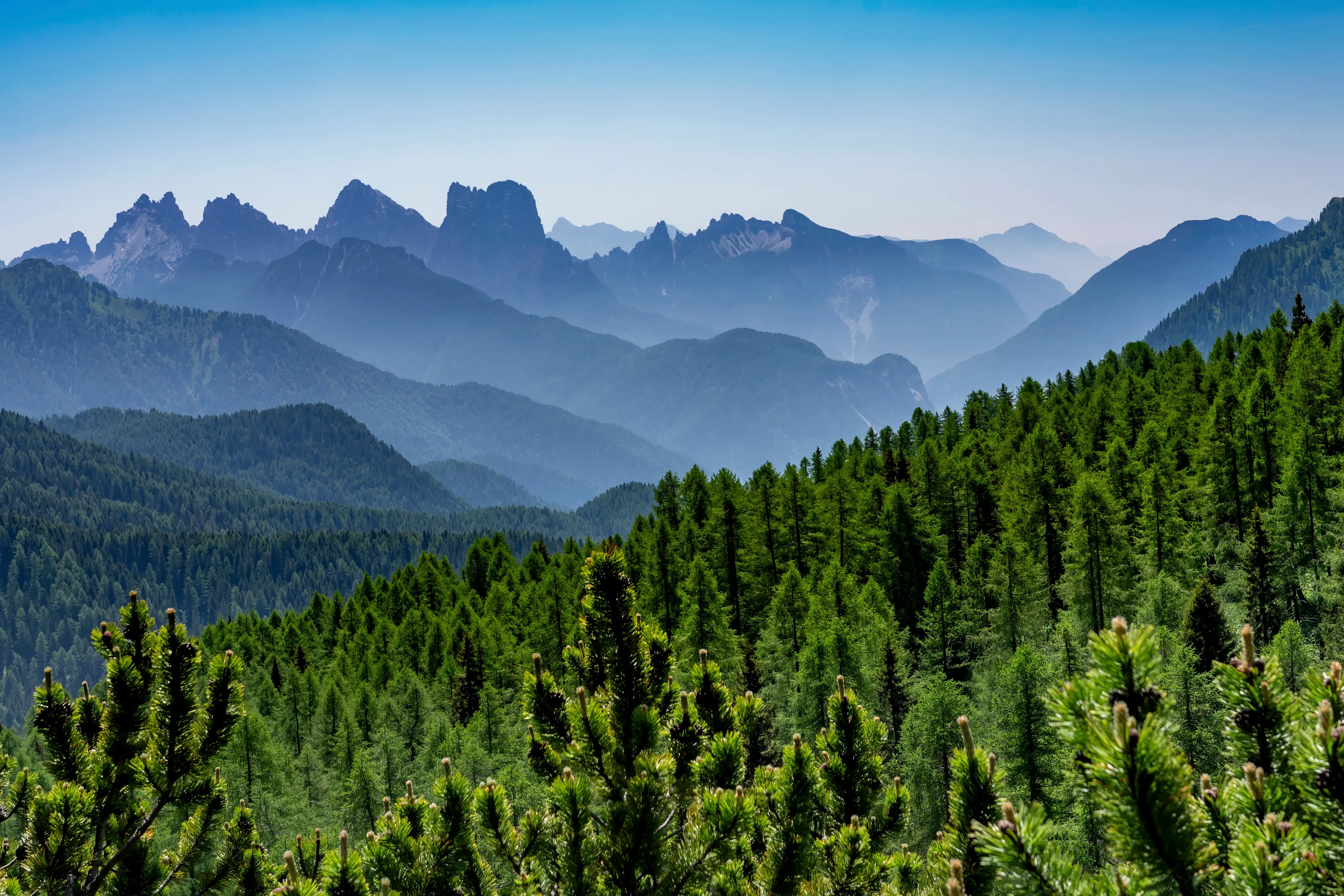 Dodici scatti, uno per ciascun mese, selezionati tra gli oltre 2700 che hanno partecipato al concorso indetto dal nostro giornale con Nord Est Multimedia e la Regione Veneto. Ecco come è andata: il calendario sarà in omaggio gratuito con il Corriere delle Alpi solo martedì 23 dicembre