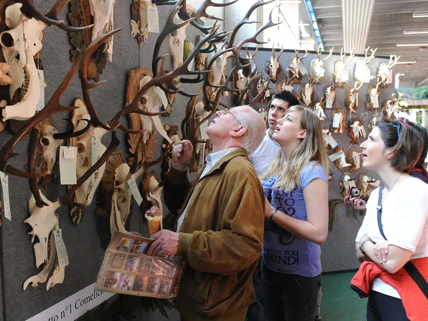 Una edizione delle fiere di Longarone