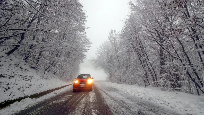 Strada per Cima Grappa innevata (Semonzo)