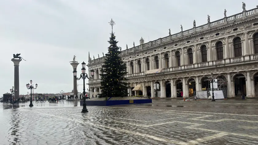 L'albero di Natale in piazzetta San Marco circondato dalla marea alla Vigilia di Natale