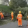 L'abbattimento di un albero a Chiesanuova (Padova) per i lavori del tram