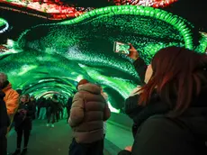 La Galleria digitale Bombi a Gorizia sta facendo il giro del mondo fra video e foto postati dai visitatori
