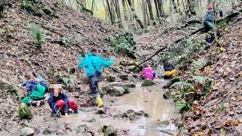 Scuola nel bosco chiusa a Monfumo: ecco cosa succede adesso ai bambini