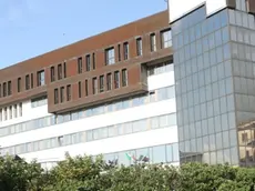 Il tribunale di Treviso