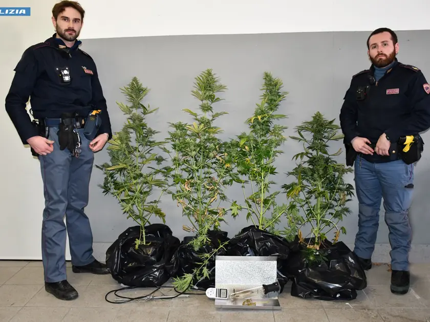 Gli agenti della Volante della questura di Belluno con le piante di marijuana e l'hashish sequestrati