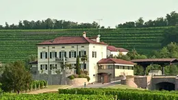 Cantina e vigneti dell'azienda friulana Schiopetto
