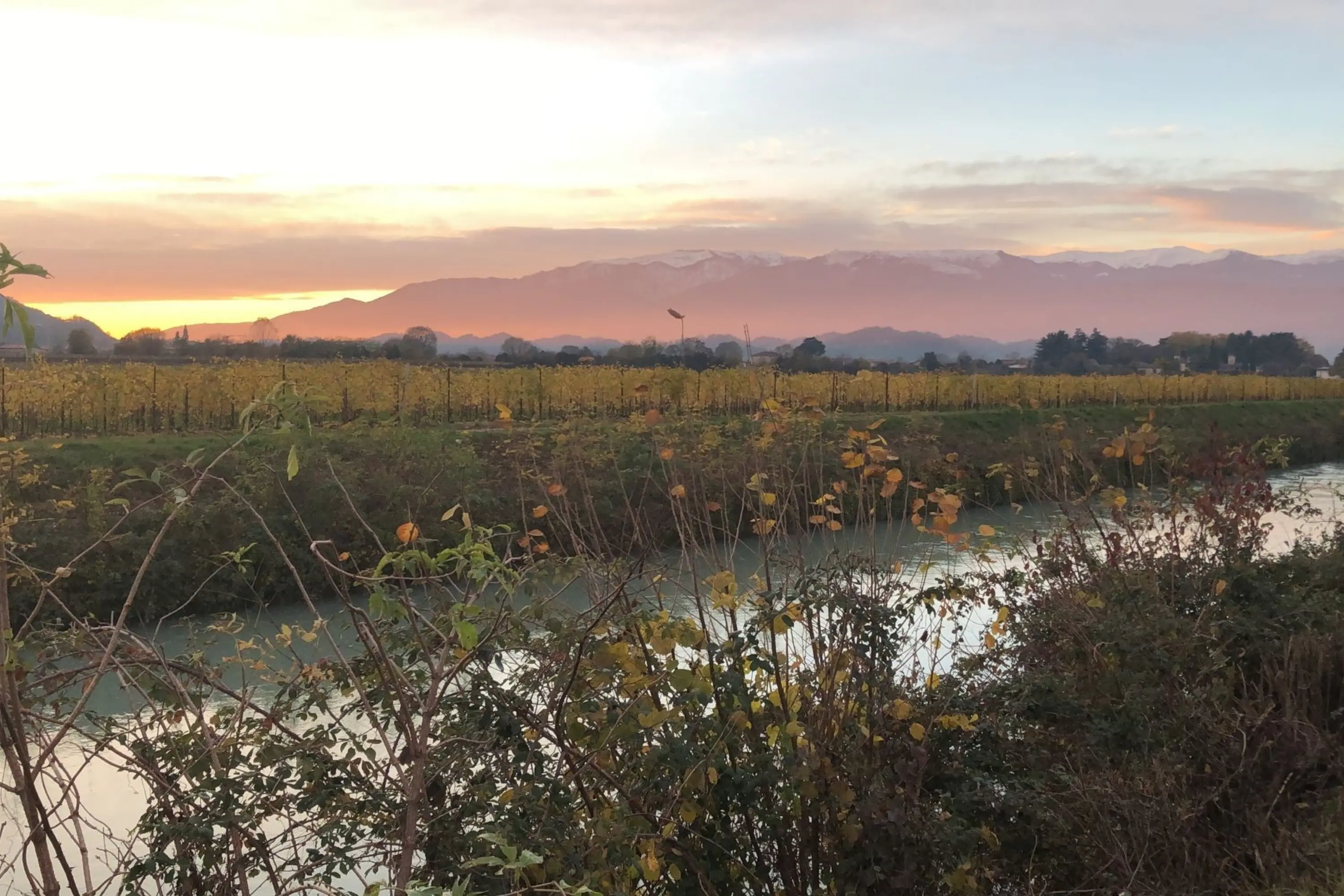 Tramonto, sullo sfondo il Monte Grappa Novembre 2025 - Daniela Pastega