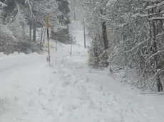 L'intensa nevicata in Cima Grappa
