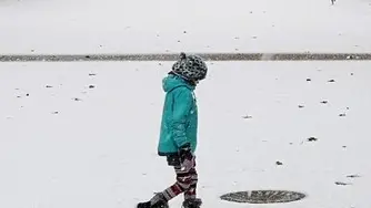 Ragazzino di 11 anni scaricato in mezzo alla neve dal bus perché non aveva il biglietto
