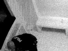 Una immagine delle violenze ai danni di uomini fermati da parte di un poliziotto della Questura di Verona