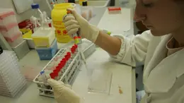 Un laboratorio dell'Istituto Zooprofilattico delle Venezie