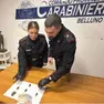 La droga sequestrata dai carabinieri