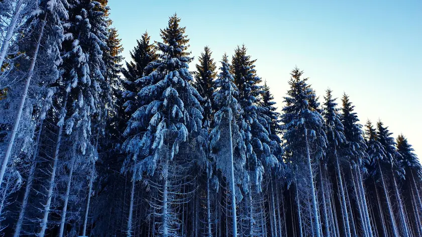 Neve in montagna. Rischio valanghe nelle Prealpi