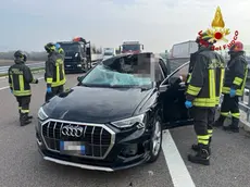 L'auto della donna colpita dal cervo
