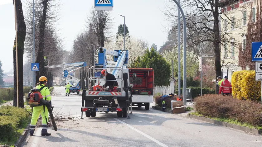 I volontari della protezione civile di Pedavena impegnati in viale Vittorio Veneto