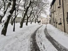 Attesa neve a bassa quota